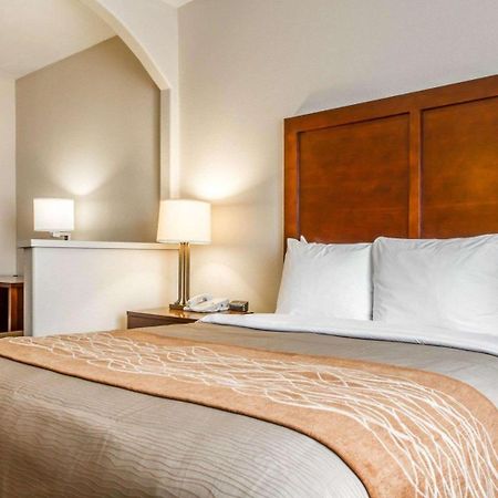 Comfort Inn & Suites Oakland Airport 외부 사진