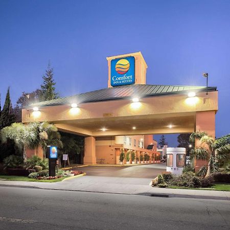Comfort Inn & Suites Oakland Airport 외부 사진