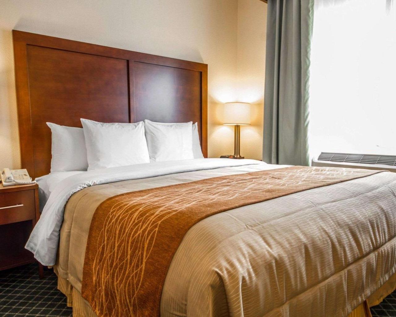 Comfort Inn & Suites Oakland Airport 외부 사진